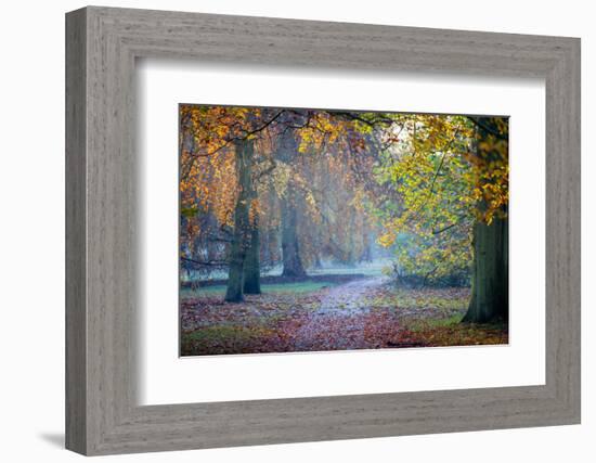 Autumn in Kew Gardens, UNESCO World Heritage Site, Kew, Greater London, England, UK-Simon Montgomery-Framed Photographic Print