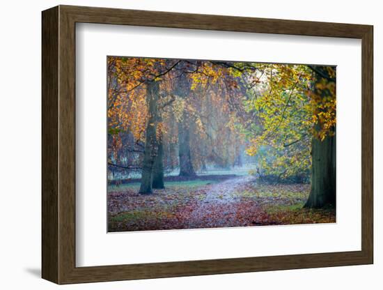 Autumn in Kew Gardens, UNESCO World Heritage Site, Kew, Greater London, England, UK-Simon Montgomery-Framed Photographic Print