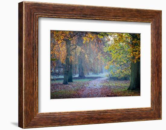 Autumn in Kew Gardens, UNESCO World Heritage Site, Kew, Greater London, England, UK-Simon Montgomery-Framed Photographic Print