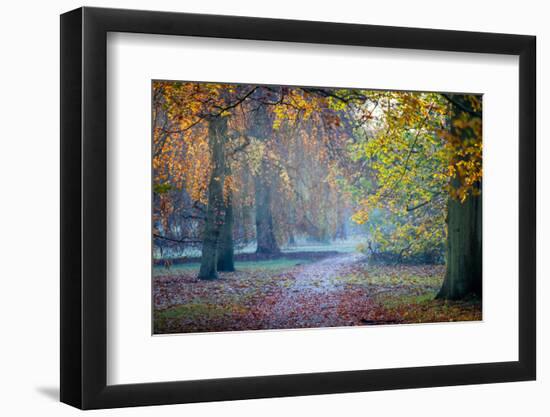 Autumn in Kew Gardens, UNESCO World Heritage Site, Kew, Greater London, England, UK-Simon Montgomery-Framed Photographic Print