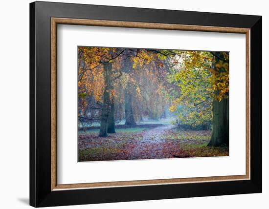 Autumn in Kew Gardens, UNESCO World Heritage Site, Kew, Greater London, England, UK-Simon Montgomery-Framed Photographic Print