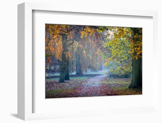 Autumn in Kew Gardens, UNESCO World Heritage Site, Kew, Greater London, England, UK-Simon Montgomery-Framed Photographic Print