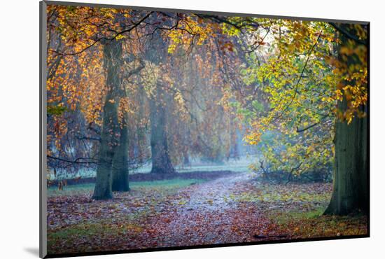 Autumn in Kew Gardens, UNESCO World Heritage Site, Kew, Greater London, England, UK-Simon Montgomery-Mounted Photographic Print
