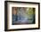 Autumn in Kew Gardens, UNESCO World Heritage Site, Kew, Greater London, England, UK-Simon Montgomery-Framed Photographic Print