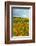 Autumn in Leonetti Vineyard, Walla Walla, Washington, USA-Richard Duval-Framed Photographic Print