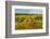 Autumn in Leonetti Vineyard, Walla Walla, Washington, USA-Richard Duval-Framed Photographic Print