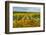 Autumn in Leonetti Vineyard, Walla Walla, Washington, USA-Richard Duval-Framed Photographic Print