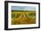 Autumn in Leonetti Vineyard, Walla Walla, Washington, USA-Richard Duval-Framed Photographic Print