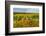 Autumn in Leonetti Vineyard, Walla Walla, Washington, USA-Richard Duval-Framed Photographic Print