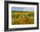 Autumn in Leonetti Vineyard, Walla Walla, Washington, USA-Richard Duval-Framed Photographic Print