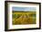 Autumn in Leonetti Vineyard, Walla Walla, Washington, USA-Richard Duval-Framed Photographic Print