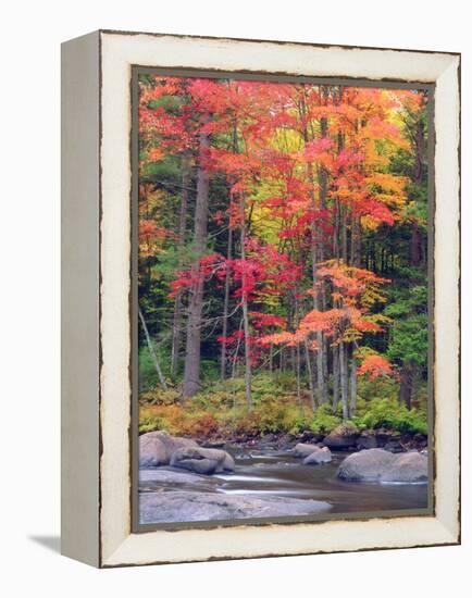 Autumn in the Adirondack Mountains, New York, Usa-Christopher Talbot Frank-Framed Premier Image Canvas