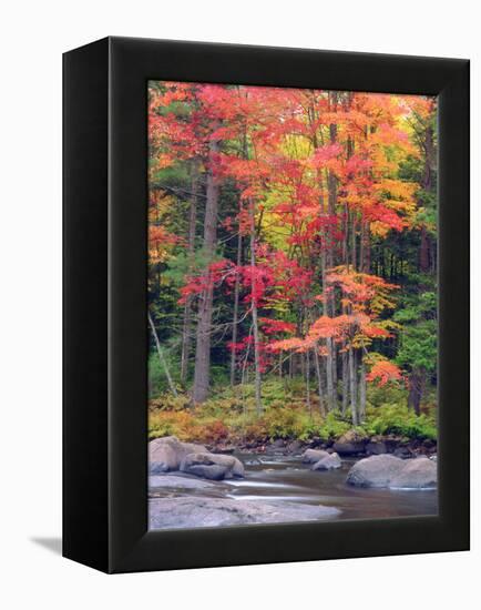 Autumn in the Adirondack Mountains, New York, Usa-Christopher Talbot Frank-Framed Premier Image Canvas