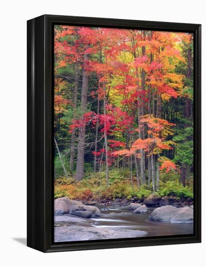 Autumn in the Adirondack Mountains, New York, Usa-Christopher Talbot Frank-Framed Premier Image Canvas