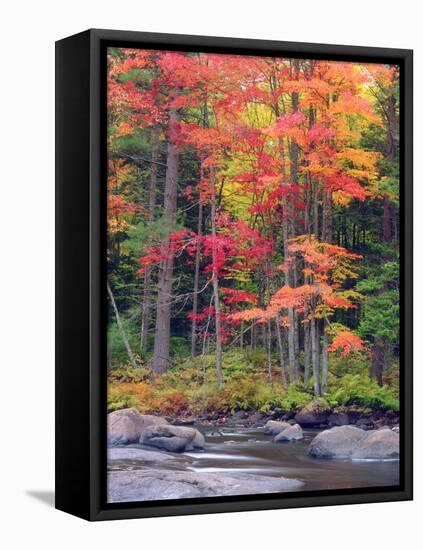 Autumn in the Adirondack Mountains, New York, Usa-Christopher Talbot Frank-Framed Premier Image Canvas