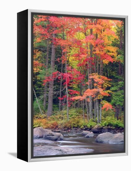 Autumn in the Adirondack Mountains, New York, Usa-Christopher Talbot Frank-Framed Premier Image Canvas