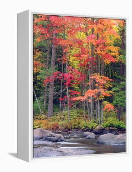 Autumn in the Adirondack Mountains, New York, Usa-Christopher Talbot Frank-Framed Premier Image Canvas