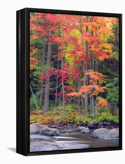 Autumn in the Adirondack Mountains, New York, Usa-Christopher Talbot Frank-Framed Premier Image Canvas