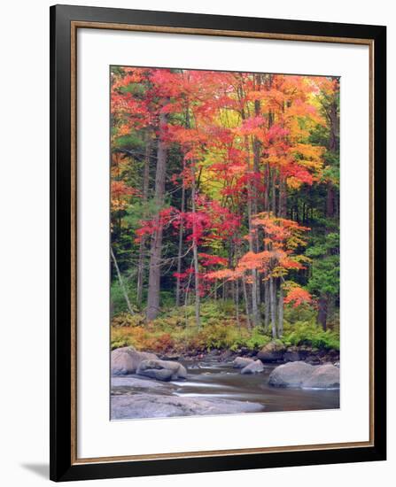 Autumn in the Adirondack Mountains, New York, Usa-Christopher Talbot Frank-Framed Premium Photographic Print