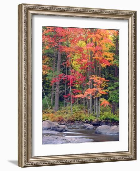 Autumn in the Adirondack Mountains, New York, Usa-Christopher Talbot Frank-Framed Photographic Print