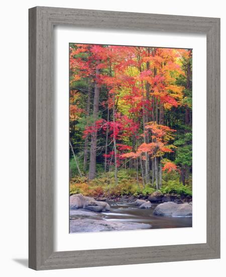 Autumn in the Adirondack Mountains, New York, Usa-Christopher Talbot Frank-Framed Photographic Print