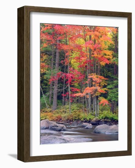 Autumn in the Adirondack Mountains, New York, Usa-Christopher Talbot Frank-Framed Photographic Print