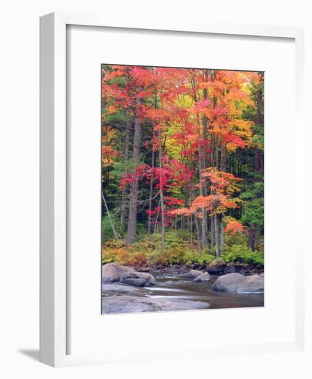 Autumn in the Adirondack Mountains, New York, Usa-Christopher Talbot Frank-Framed Photographic Print