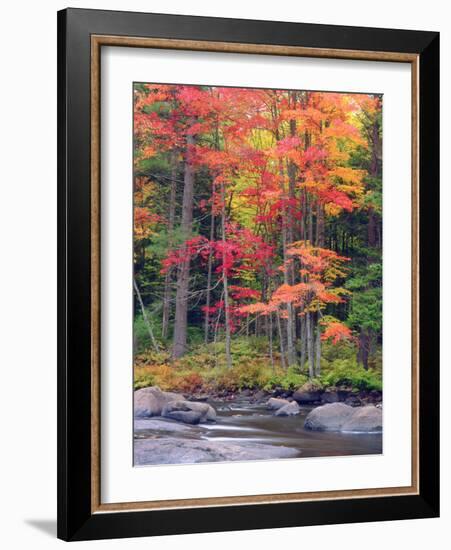 Autumn in the Adirondack Mountains, New York, Usa-Christopher Talbot Frank-Framed Photographic Print