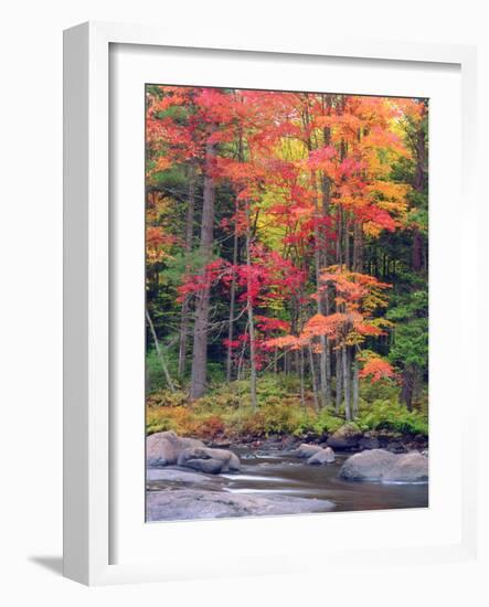 Autumn in the Adirondack Mountains, New York, Usa-Christopher Talbot Frank-Framed Photographic Print