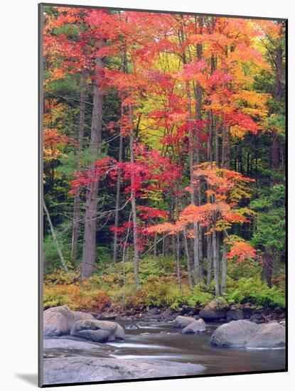 Autumn in the Adirondack Mountains, New York, Usa-Christopher Talbot Frank-Mounted Photographic Print
