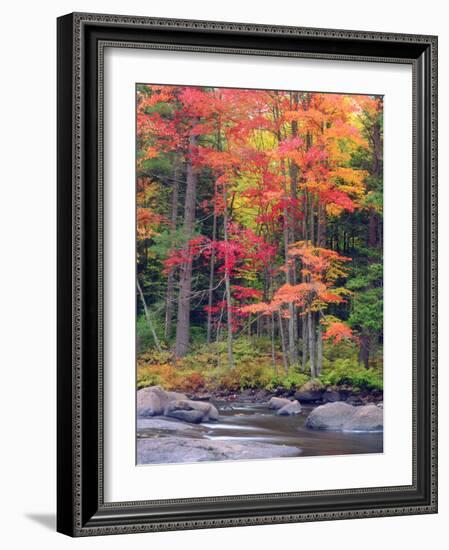 Autumn in the Adirondack Mountains, New York, Usa-Christopher Talbot Frank-Framed Photographic Print