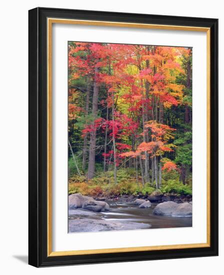 Autumn in the Adirondack Mountains, New York, Usa-Christopher Talbot Frank-Framed Photographic Print