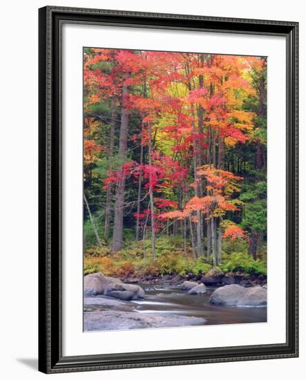 Autumn in the Adirondack Mountains, New York, Usa-Christopher Talbot Frank-Framed Photographic Print