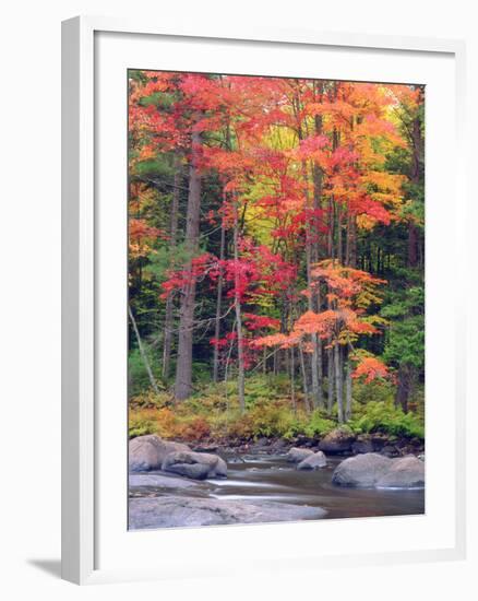 Autumn in the Adirondack Mountains, New York, Usa-Christopher Talbot Frank-Framed Photographic Print