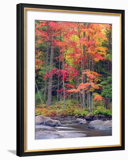 Autumn in the Adirondack Mountains, New York, Usa-Christopher Talbot Frank-Framed Photographic Print