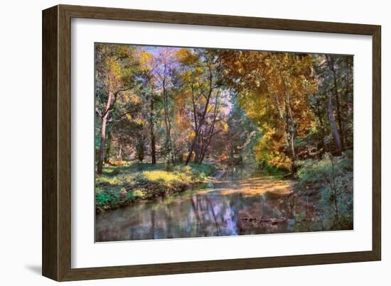 Autumn in the Afternoon-John Rivera-Framed Photographic Print