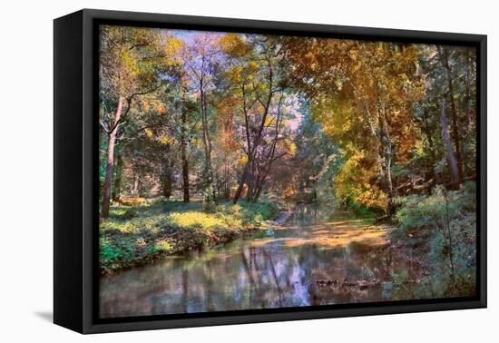 Autumn in the Afternoon-John Rivera-Framed Premier Image Canvas