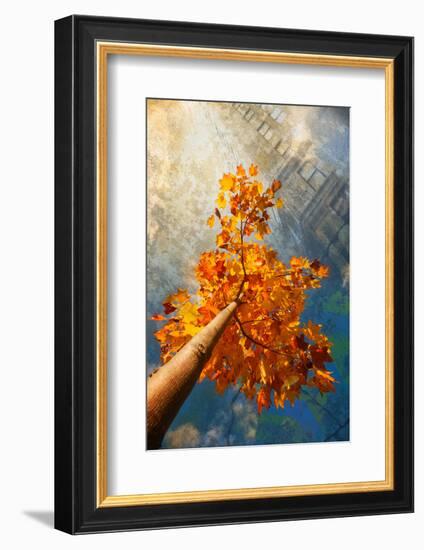 Autumn in the City-Philippe Sainte-Laudy-Framed Photographic Print