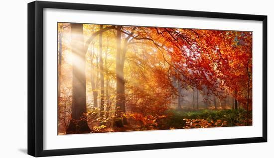 Autumn in the Forest, Sunrays Fall Through Mist and a Beautiful Red Tree-Smileus Images-Framed Photographic Print