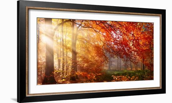 Autumn in the Forest, Sunrays Fall Through Mist and a Beautiful Red Tree-Smileus Images-Framed Photographic Print