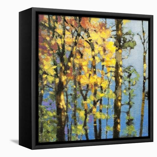 Autumn in the Olympics-Max Hayslette-Framed Premier Image Canvas