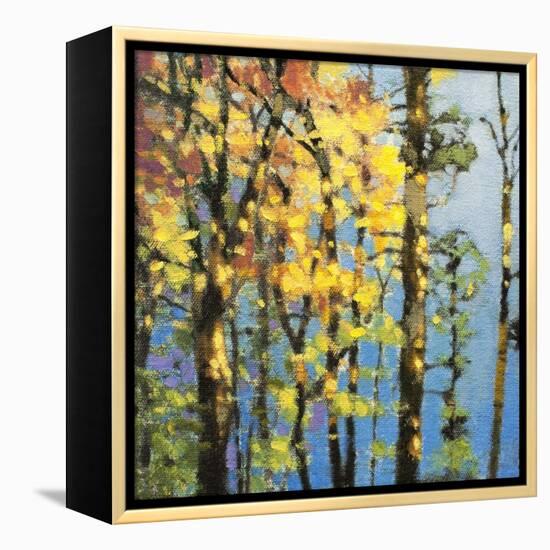 Autumn in the Olympics-Max Hayslette-Framed Premier Image Canvas