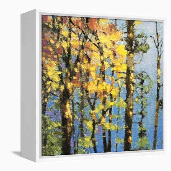 Autumn in the Olympics-Max Hayslette-Framed Premier Image Canvas