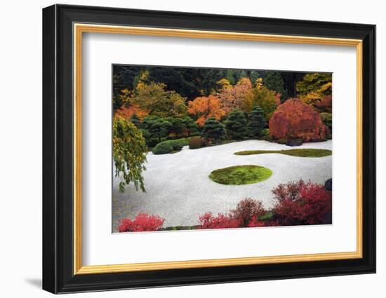 Autumn in the Portland Japanese Garden, Portland, Oregon, USA-Michel Hersen-Framed Photographic Print