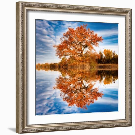 Autumn in the Reflection-Philippe Sainte-Laudy-Framed Photographic Print