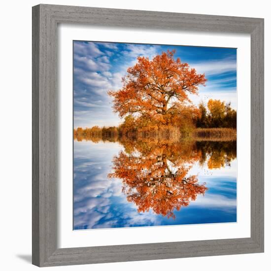 Autumn in the Reflection-Philippe Sainte-Laudy-Framed Photographic Print