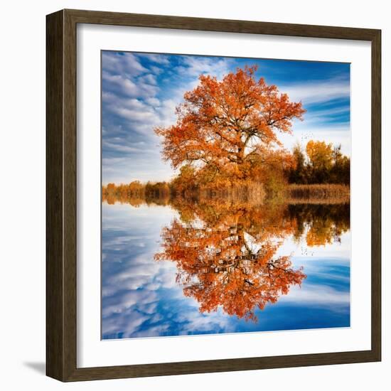 Autumn in the Reflection-Philippe Sainte-Laudy-Framed Photographic Print