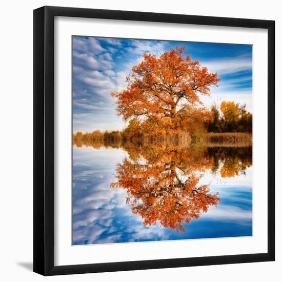 Autumn in the Reflection-Philippe Sainte-Laudy-Framed Photographic Print