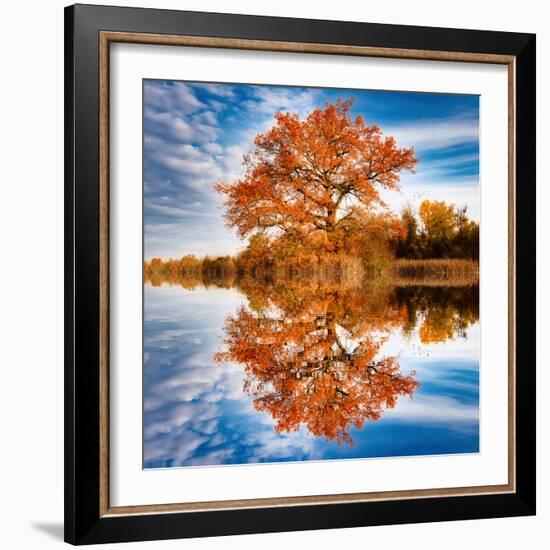 Autumn in the Reflection-Philippe Sainte-Laudy-Framed Photographic Print