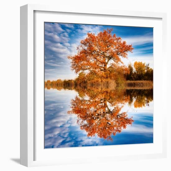 Autumn in the Reflection-Philippe Sainte-Laudy-Framed Photographic Print